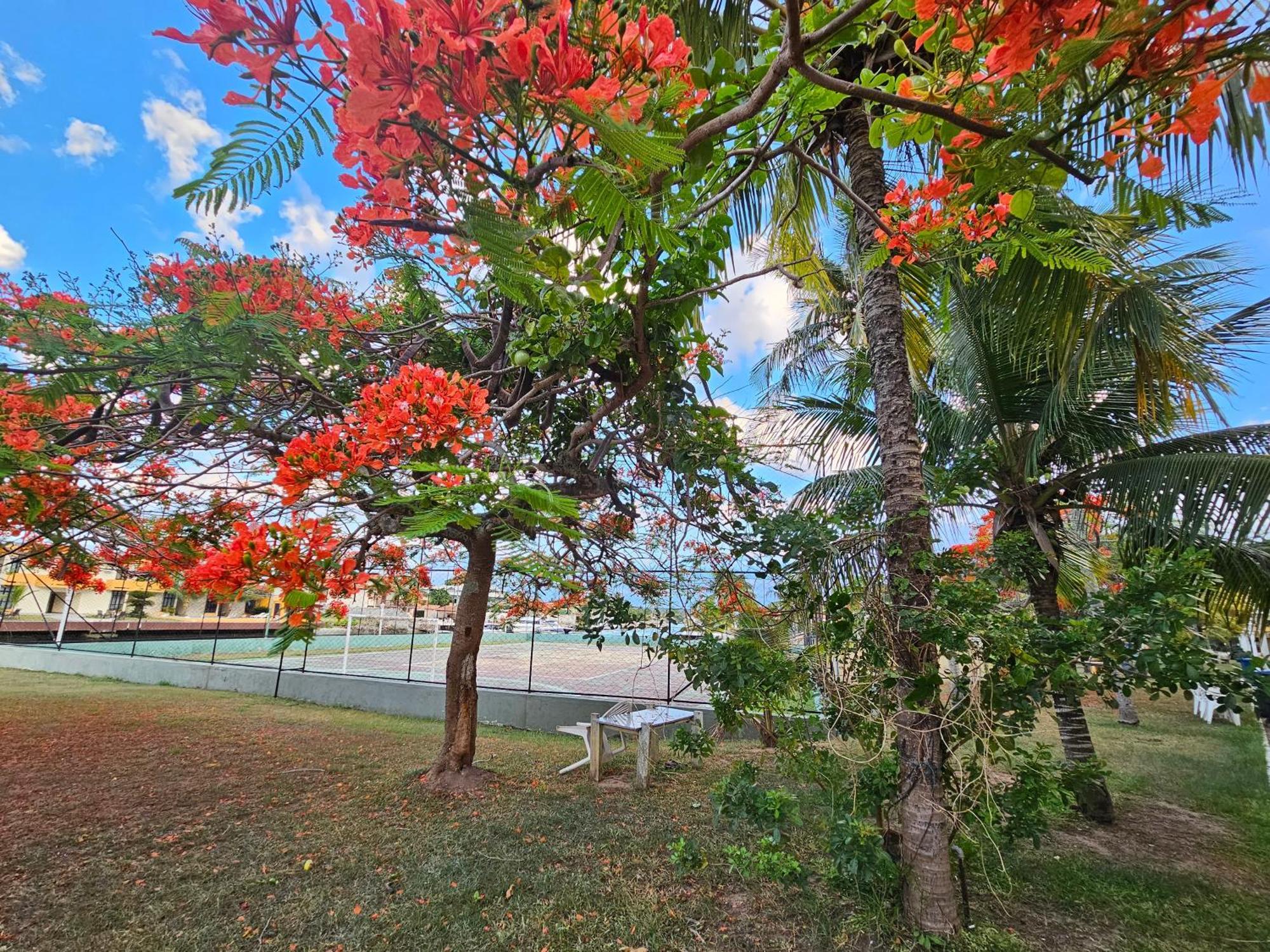 Condominio Cabo Frio Luaran gambar